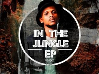 EP: BlaQRhythm – In The Jungle