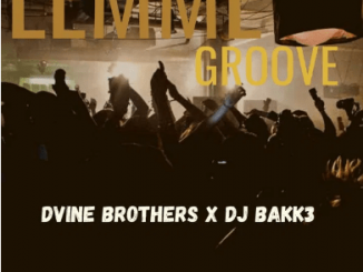 Dvine Brothers & DJ Bakk3 – Lemme Groove (Original Mix)