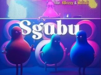 Video: Shuffle Muzik, Dinho & DBN Gogo – Sgubu Ft. KBrizzy & Malindi