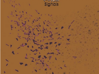 EP: V-Vyper – Signals (Remixes)