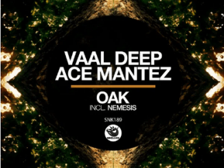 Vaal Deep & Ace Mantez – Oak (Original Mix)