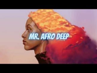 Afrozin Gang – We Met Ft. Kale Kamine (Original Mix)