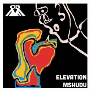 EP: Mshudu – Elevation