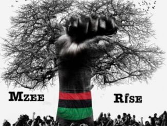 ALBUM: Mzee – Rise
