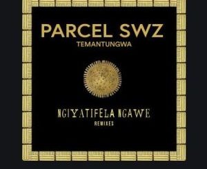 Parcel SWZ, Temantungwa – Ngiyatifela Ngawe (Remixes)
