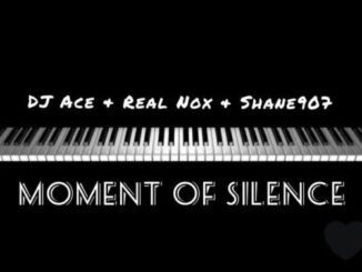 DJ Ace, Real Nox & Shane907 – Moment of Silence