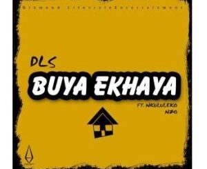 DLS – Buya Ekhaya Ft. Nkululeko Nzo