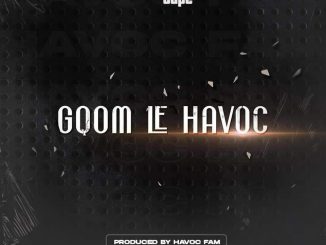 Havoc Fam – Gqom Le Havoc