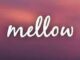 Mellow & Sleazy – Temptation Ft. M.J