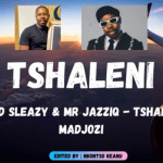 Mellow and Sleazy & Mr JazziQ – Tshaleni Ft. Sho Madjozi