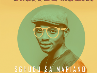 Shuffle Muzik – Sgubu Sa Mapiano