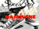 SiwiBoy – Majaivane (Original)