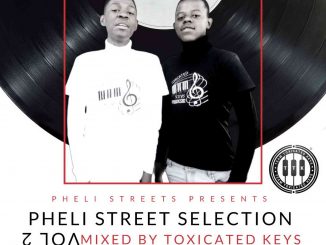 Toxicated Keys – Pheli Streets Selection Vol.2 (Rough MusiQ Edition)