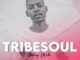 TribeSoul – Resonate (Main Soulfied)
