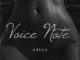 Allyz – Voice Note