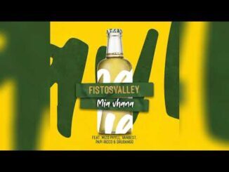 Fistos Valley – Mia Vhana Ft. Mizo Phyll, VanBest, Papi Ricco & Drubango