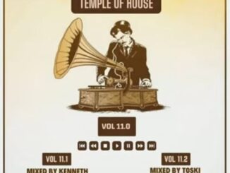 Toski – Temple Of House Vol 11.2