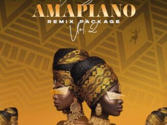 BeeSoul – Amapiano Remix Package Vol. 2
