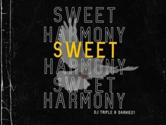 Dj Triple & Darkie21 – Sweet Harmony