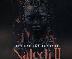 Gobi Beast – Naledi II Ft. DJ Respect