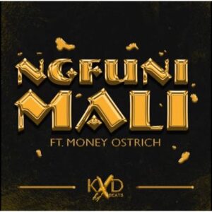 KXD BEATS – Ngfuni Mali Ft. Money Ostrich