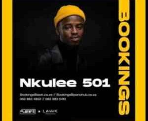 Nkulee 501 – Fountain & Hills (Dub Mix)