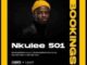 Nkulee 501 – Fountain & Hills (Dub Mix)