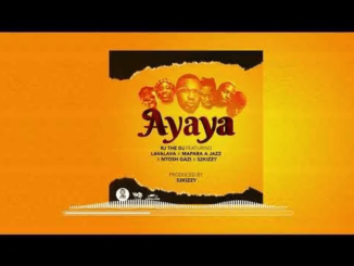 VIDEO: Rj The Dj – Ayaya Ft. Lava Lava, Mapara A Jazz & Ntosh Gazi