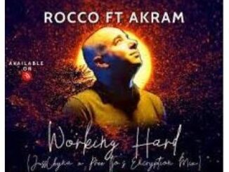 Rocco & Akram – Working Hard (JussChyna x PreeTjo’s Encryption Mix)