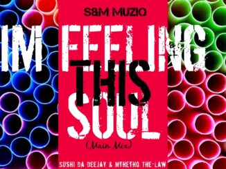 Sushi Da Deejay & Mthetho the Law (S & M MusiQ) – Im Feeling This Soul (Soulified Mix)