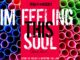 Sushi Da Deejay & Mthetho the Law (S & M MusiQ) – Im Feeling This Soul (Soulified Mix)