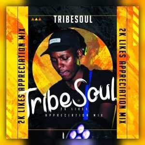 TribeSoul, Bido Vega & Nkulee 501 – Badimo (Amadlozi)