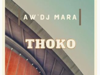 Aw'DJ Mara - Thoko (Gqom Remake)