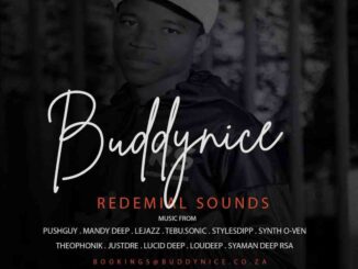 Buddynice – Redemial Sounds Label 001 Mix