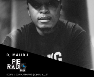 DJ Malibu – Pie Radio Mix 2