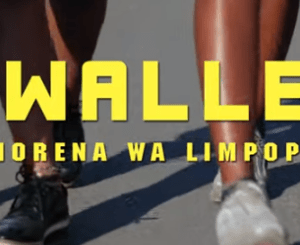 Morena Wa Limpopo – Ewallet