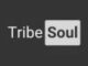 TribeSoul – C Section (Tech Feel)