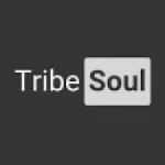 TribeSoul – C Section (Tech Feel)