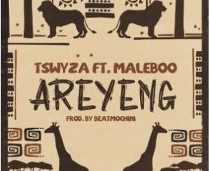 Tswyza – Areyeng Ft. Maleboo