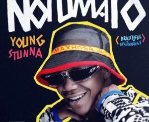 ALBUM: Young Stunna – Notumato
