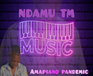 Ndamu TM Music – This Is We Celebrate Amapiano ft. Orinea & Andy De DJ