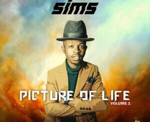 Sims – Shake Shake ft. Fiso El Musica