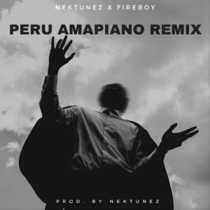 Fireboy DML & Nektunez – Peru (Amapiano Remix)
