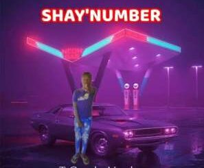 T-Gee The Vocalist – SHAY’NUMBER Ft. Emploweni Fam Cpt