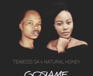 Teaboss SA & Natural Honey – Ngipholise Amanxeba