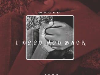Wacko - I Need You Back (I.N.Y.B)