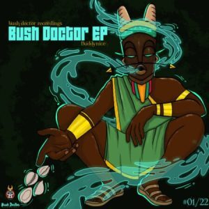 Buddynice – Bush Doctor
