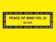 DJ Ace – Peace of Mind Vol 33 (Classic House B2B Mix)