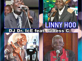 DJ Dr. IcE – Linny Hoo