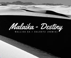 Dalootz & Wallies SA – Destiny (Amapiano Remix)